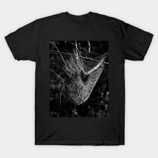 Web in the Dark T-Shirt